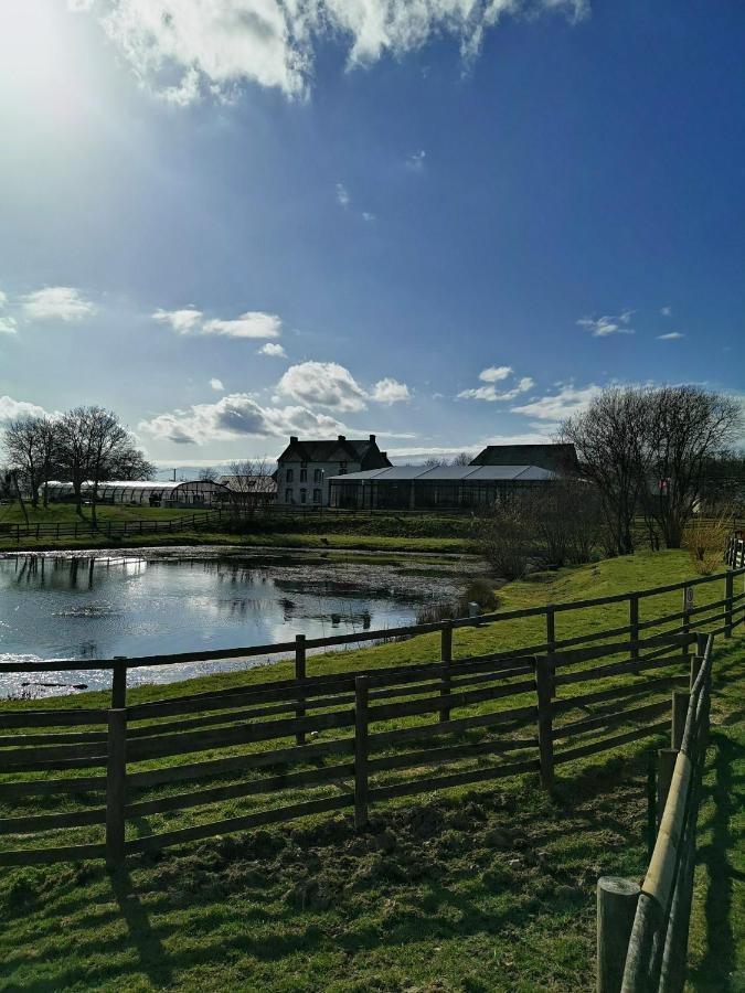 Mobil Home 8 Pers, Normandie, Le Boujou De Litteau Exteriér fotografie